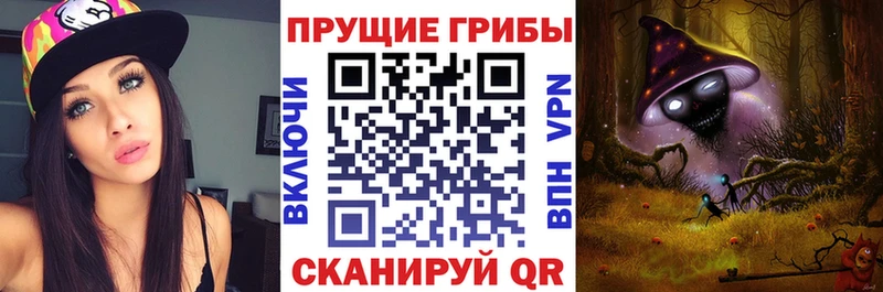 Псилоцибиновые грибы Psilocybe  закладка  Нея 