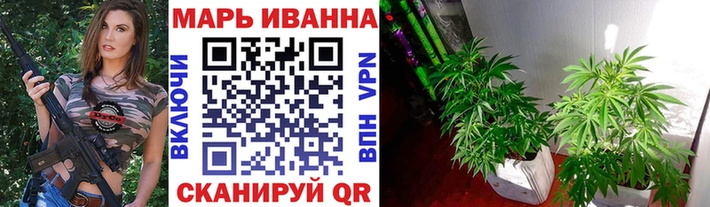 Конопля гибрид Нея